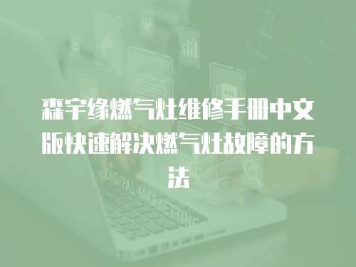 森宇緣燃氣灶維修手冊中文版快速解決燃氣灶故障的方法