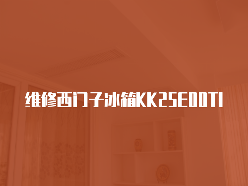 維修西門子冰箱KK25E00TI