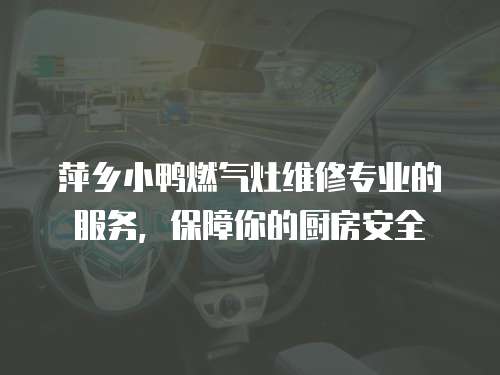 萍鄉小鴨燃氣灶維修專業的服務，保障你的廚房安全