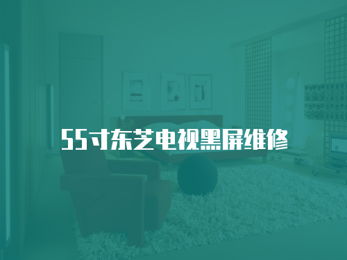 55寸東芝電視黑屏維修