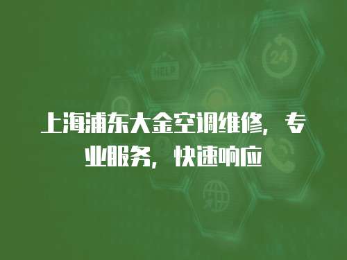 上海浦東大金空調(diào)維修，專業(yè)服務(wù)，快速響應(yīng)