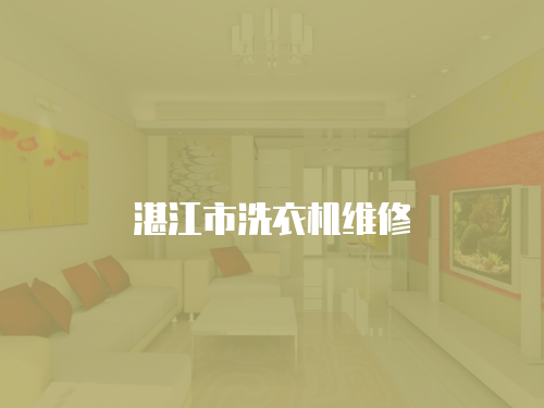 湛江市洗衣機維修