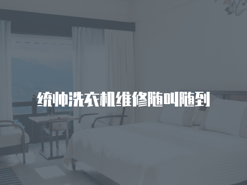 統(tǒng)帥洗衣機(jī)維修隨叫隨到