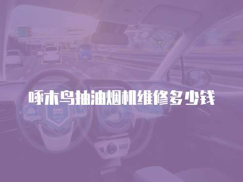 啄木鳥抽油煙機維修多少錢
