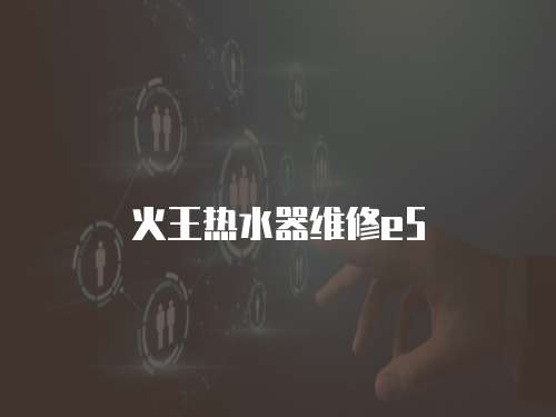 火王熱水器維修e5