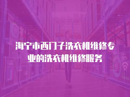海寧市西門子洗衣機維修專業的洗衣機維修服務