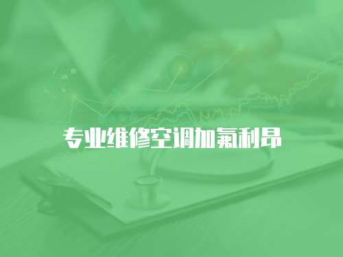 專業(yè)維修空調(diào)加氟利昂