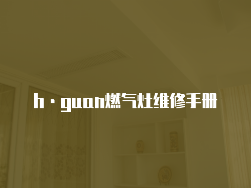 h·guan燃氣灶維修手冊