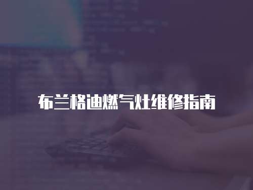 布蘭格迪燃?xì)庠罹S修指南