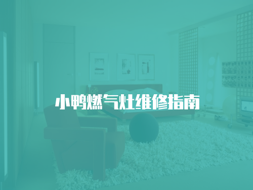 小鴨燃氣灶維修指南