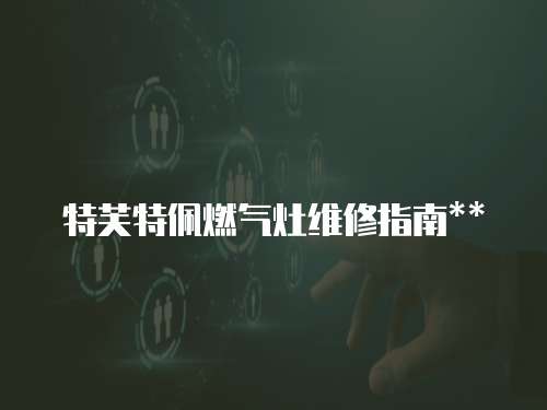特芙特佩燃氣灶維修指南**