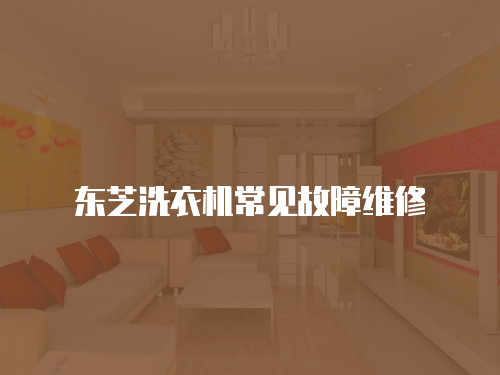 東芝洗衣機(jī)常見故障維修