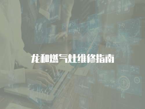 龍和燃氣灶維修指南