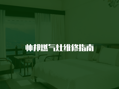 帥邦燃?xì)庠罹S修指南