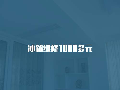冰箱維修1000多元