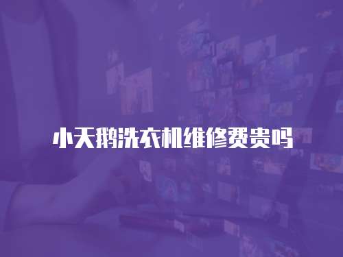 小天鵝洗衣機維修費貴嗎