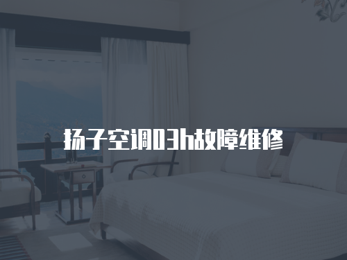揚(yáng)子空調(diào)03h故障維修