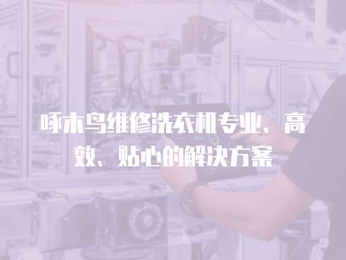 啄木鳥維修洗衣機專業、高效、貼心的解決方案