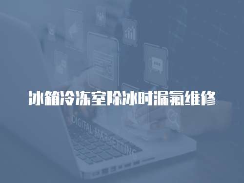 冰箱冷凍室除冰時(shí)漏氟維修