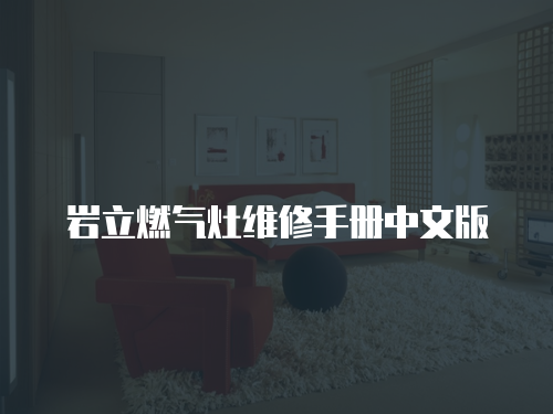 巖立燃氣灶維修手冊中文版