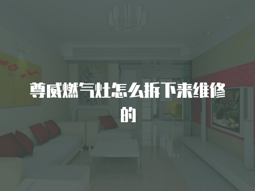 尊威燃氣灶怎么拆下來維修的