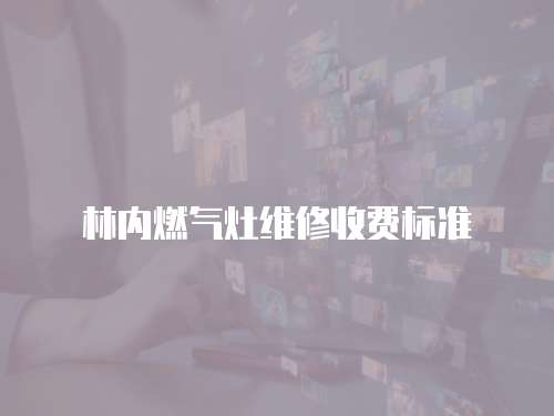 林內(nèi)燃?xì)庠罹S修收費(fèi)標(biāo)準(zhǔn)