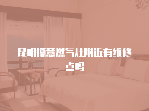 昆明德意燃?xì)庠罡浇芯S修點(diǎn)嗎