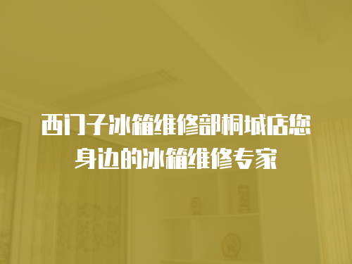 西門子冰箱維修部桐城店您身邊的冰箱維修專家