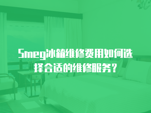 Smeg冰箱維修費(fèi)用如何選擇合適的維修服務(wù)？