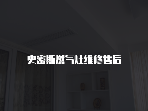 史密斯燃?xì)庠罹S修售后
