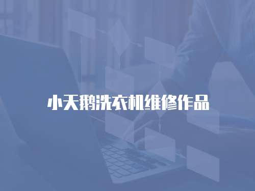 小天鵝洗衣機(jī)維修作品