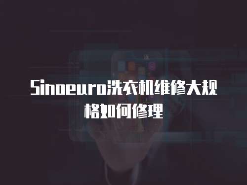 Sinoeuro洗衣機維修大規格如何修理