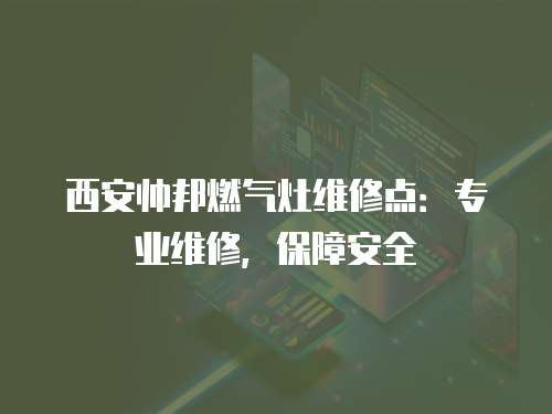 西安帥邦燃?xì)庠罹S修點(diǎn)：專業(yè)維修，保障安全