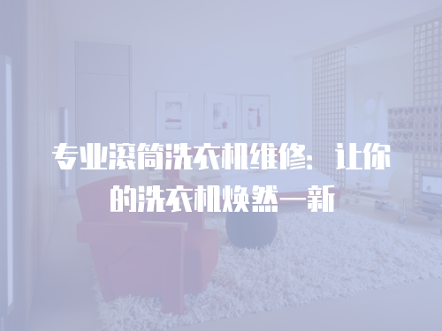 專業滾筒洗衣機維修：讓你的洗衣機煥然一新