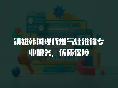 鎮(zhèn)雄韓國現(xiàn)代燃?xì)庠罹S修專業(yè)服務(wù)，優(yōu)質(zhì)保障