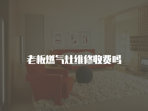 老板燃?xì)庠罹S修收費嗎