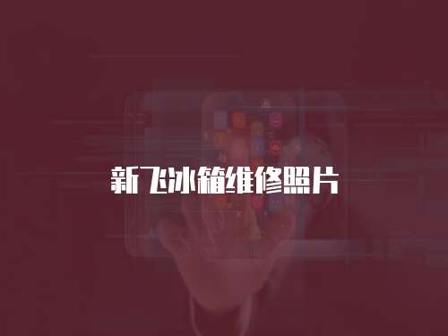 新飛冰箱維修照片