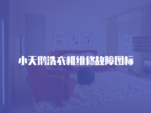 小天鵝洗衣機維修故障圖標(biāo)