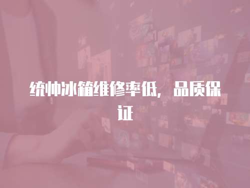 統帥冰箱維修率低，品質保證