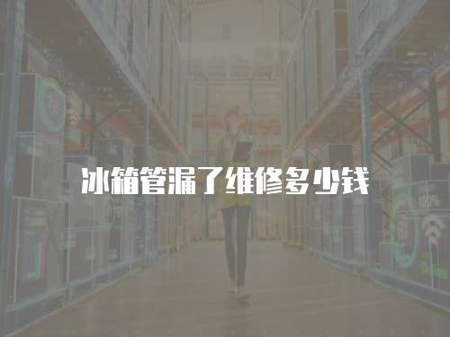 冰箱管漏了維修多少錢