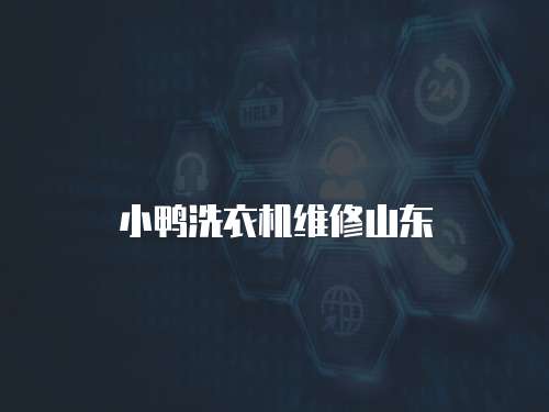 小鴨洗衣機維修山東