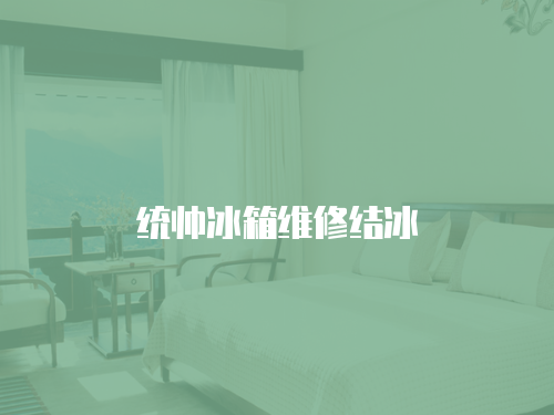 統帥冰箱維修結冰