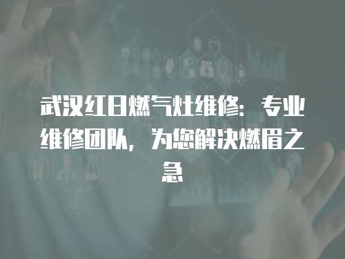 武漢紅日燃氣灶維修：專業(yè)維修團隊，為您解決燃眉之急