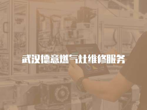 武漢德意燃?xì)庠罹S修服務(wù)