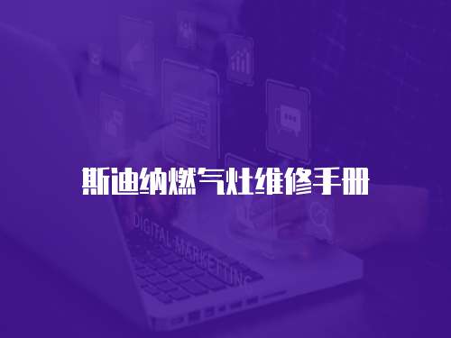 斯迪納燃?xì)庠罹S修手冊