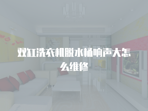 雙缸洗衣機脫水桶響聲大怎么維修