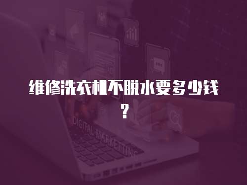 維修洗衣機不脫水要多少錢？