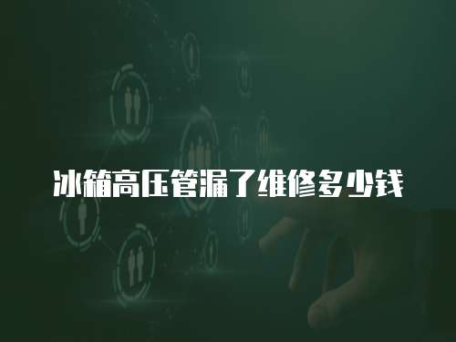 冰箱高壓管漏了維修多少錢