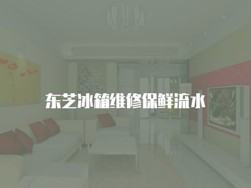 東芝冰箱維修保鮮流水