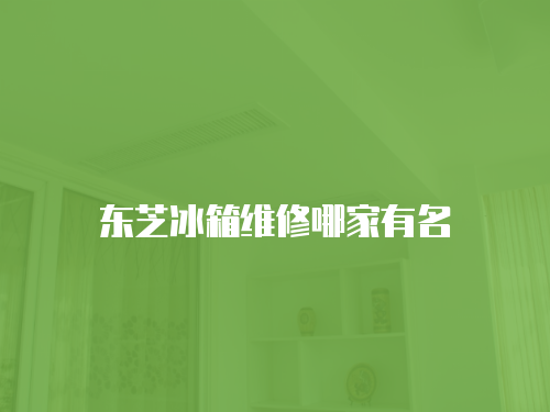 東芝冰箱維修哪家有名